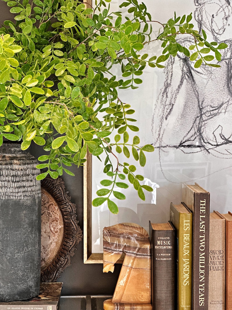 May include: A collection of books with titles including "The Last Two Million Years", "Les Beaux Jardins", and "Savoir Vivre Savoir Piaire". The books are stacked on a shelf with a decorative vase and a wooden horse bookend.