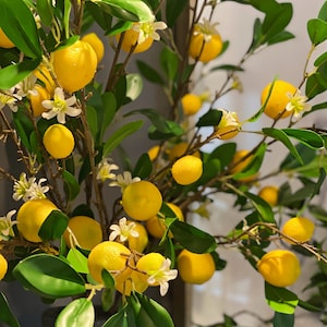 Faux lemon tree branches, artificial yellow fruits, faux Plants & white flowers, green Leaves, DIY floral arrangement, home decor fruits