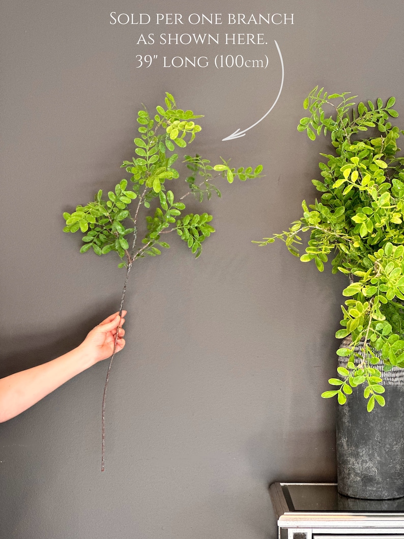 May include: A single green leafy branch with a brown stem, 39 inches long. The branch is held in a hand against a gray wall. The text "SOLD PER ONE BRANCH AS SHOWN HERE. 39" LONG (100cm)" is written above the branch.