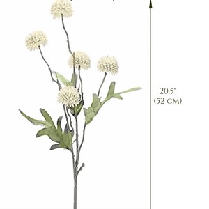 May include: A single artificial flower branch with five cream-colored flower heads and green leaves. The branch is 20.5 inches (52 cm) long. Text on the image reads "PRICED PER ONE BRANCH AS SHOWN HERE" and "5 flower heads per branch."