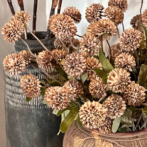 May include: A close-up of a floral arrangement featuring brown, spherical flowers with green leaves. The flowers are in a decorative, textured vase. Dark brown branches are in a dark green vase behind the flowers. The background is a white wall.