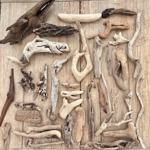 5 Unique Rustic Hand-Selected Driftwood Pieces from Scotlands Wild West Coast | 0 - 35cm | Coastal Decor | Aquarium | Vivarium | Terrarium