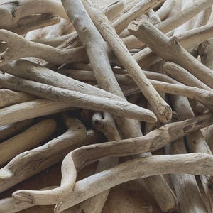 Bundle of 20 Natural Driftwood Pieces – Perfect for Terrariums, Vivariums, Crafts, Garden & Wedding Decor