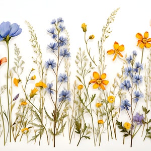 Field Flowers Backsplash, Ceramic Decorative Tiles, Floral Tiles.