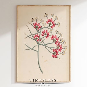 Vintage Botanical Print | Floral Wall Art | Rustic Decor | PRINTABLE Digital Art | S134
