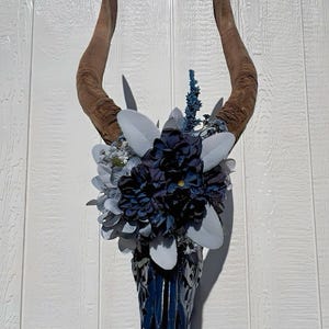 Real African Nyala skull