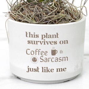 May include: White ceramic planter with the text "this plant survives on coffee & sarcasm just like me" in brown lettering. The text includes a coffee cup and a smiley face icon.