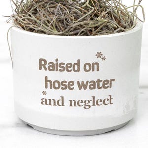 May include: White ceramic planter with the text "Raised on* hose water* and neglect" written on the side.