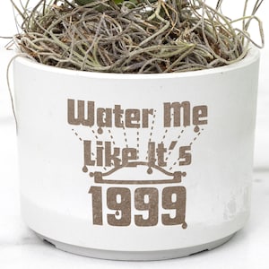 May include: White ceramic planter with the text "Water me like it's 1999" in brown lettering. The planter has a plant with green leaves and brown roots.