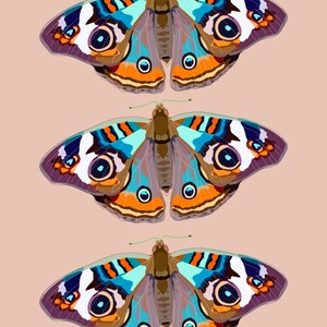 Puede incluir: Tres ilustraciones de mariposas coloridas con marcas azules, naranjas, blancas y marrones sobre un fondo rosa claro.