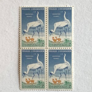 1957 3c Whooping Cranes Wildlife Conservation Block of 4 Unused Stamps for mail art, junk journals, scrapbooks, crafts