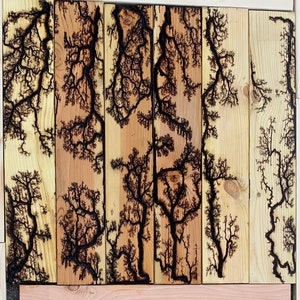 DIY Lichtenberg Electrified Blue Pine Craft/project Wood - Etsy