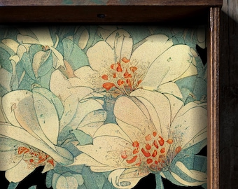 Vintage Stipple Floral Drawer Liner, Peel and Stick or Paper shelf liner contact paper for drawers, Vintage Contact Paper