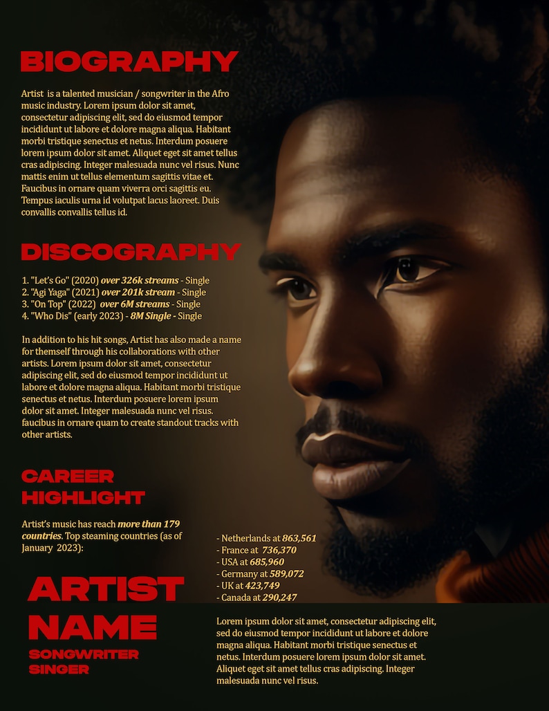 2page Electronic Press Kit Music EPK Template Etsy