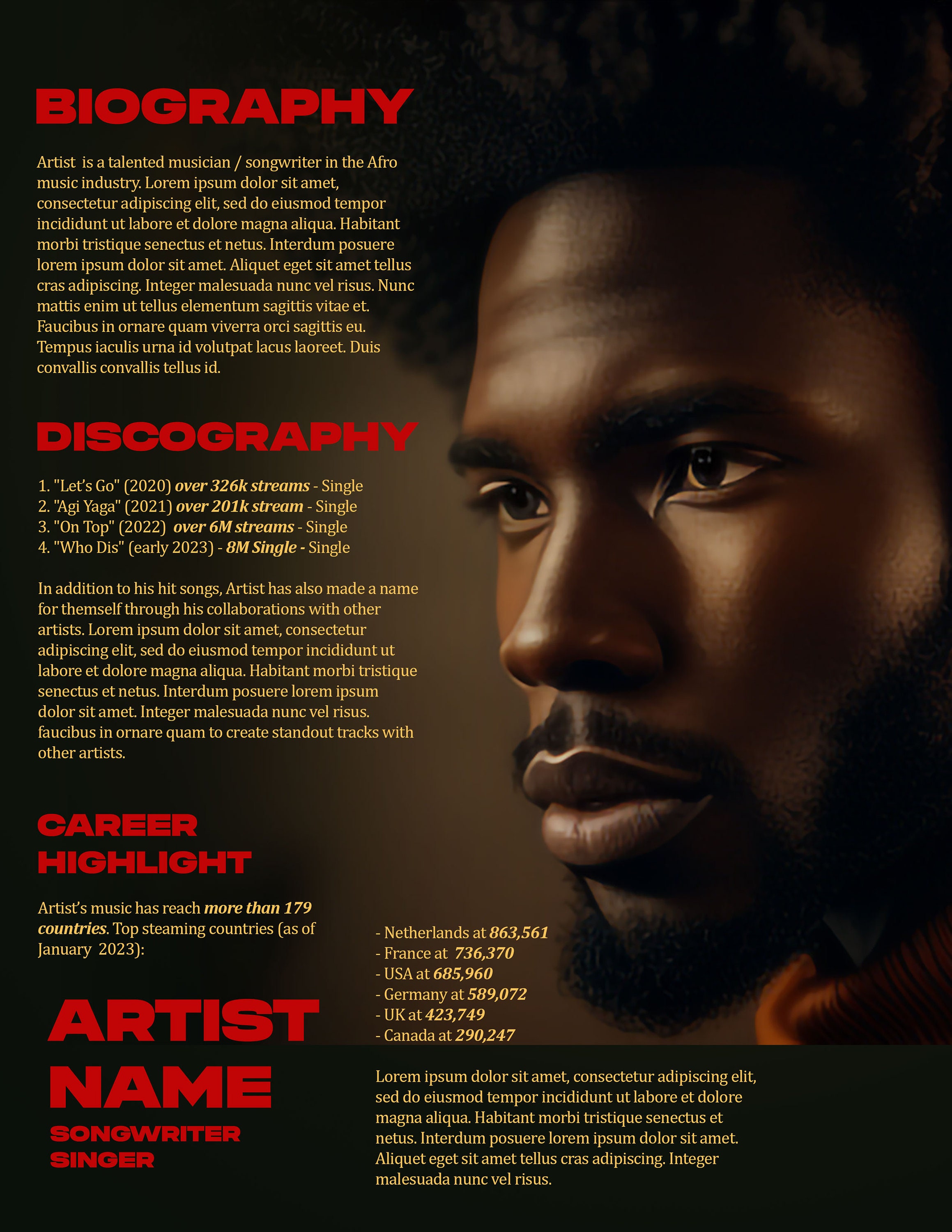 2-page Electronic Press Kit | Music EPK | Photoshop Template - Etsy