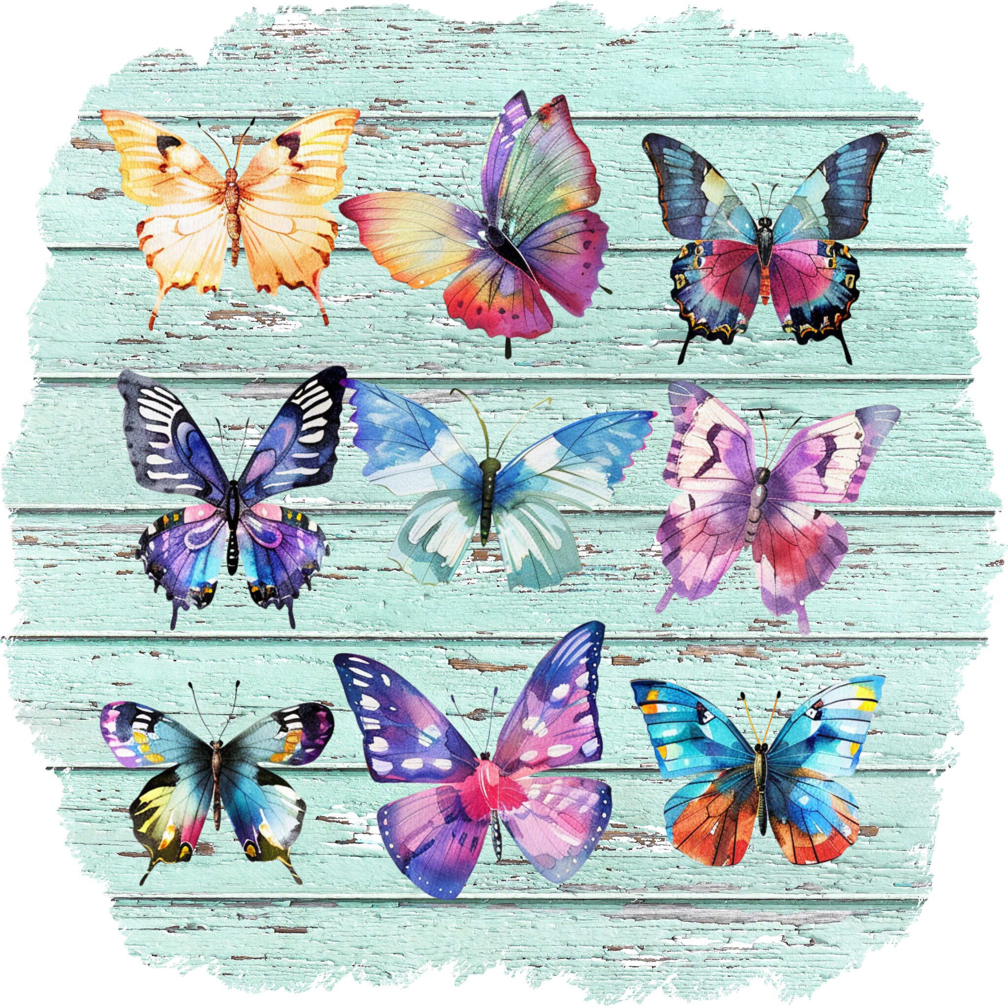 Butterfly Clipart, Butterflies Clipart, Spring Clipart, Summer Clipart