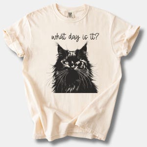 Grumpy Cat Face Tee Shirt, Frazzled Cat Funny Graphic Shirt, Cat Theme Shirt, Gift for Cat Lovers, Cat Graphic T-Shirt, Cat Mom Sweatshirt