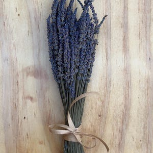 Dried Lavender bunch