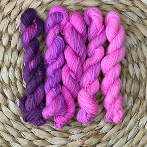 Fuchsia Fade Mini Skein Set DK Weight 100% Merino Yarn