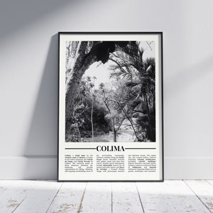 May include: Black and white photograph of a lush, tropical forest with a river running through it. The image is framed and includes the text "COLIMA" and a brief description of the state of Colima, Mexico.