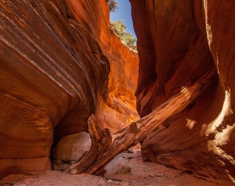 Portrait Peek-a-boo Canyon for Digital Download