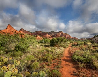 Caprock Canyon Digital Download