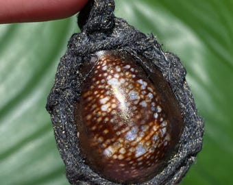 Protection Amulet Good Luck Charm, Thai Blessed Cowrie Shell Bia Gae