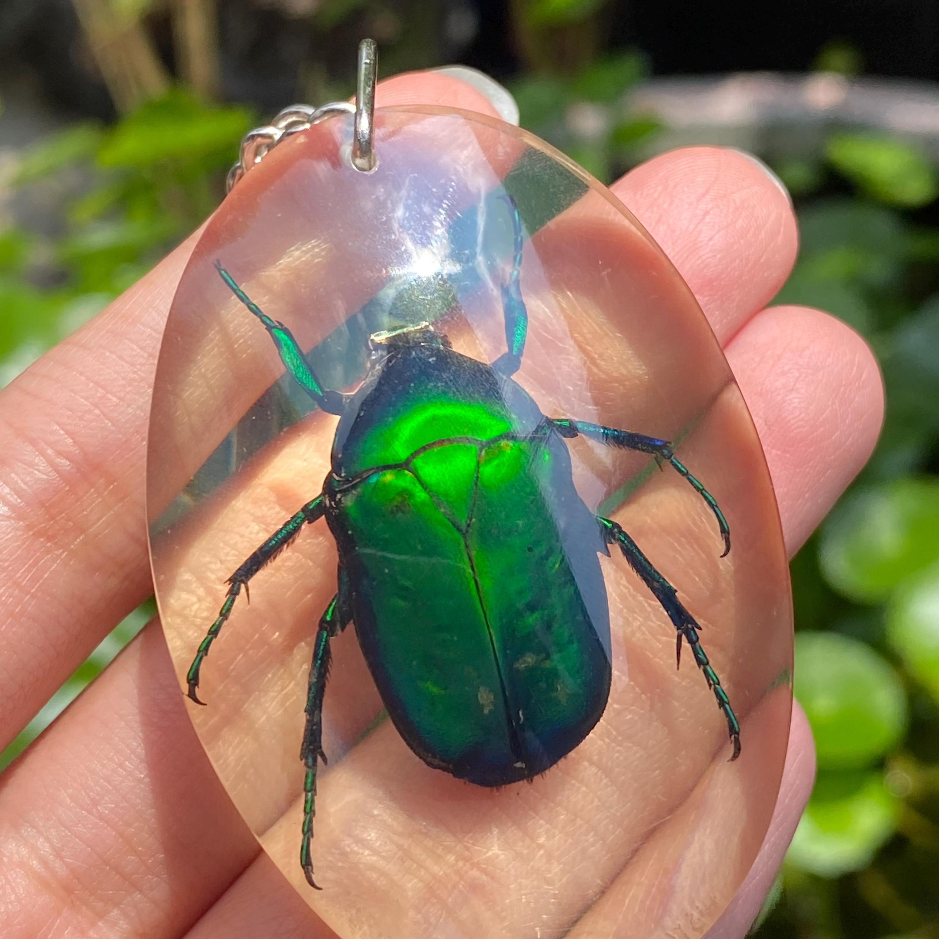 昆虫標本キーホルダー 緑色 本物のカブトムシ樹脂製キーホルダー昆虫ペンダントタイ緑色スカラベの