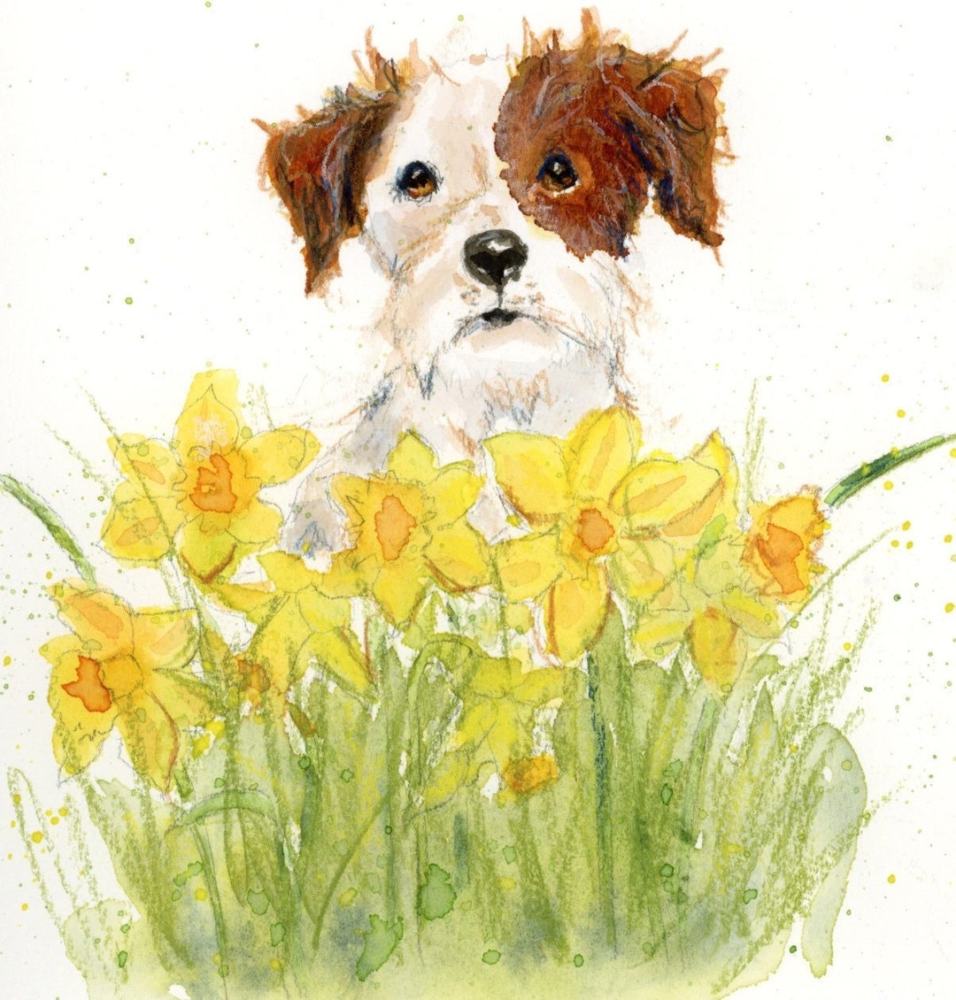 Daffodil Dog Original Art Etsy