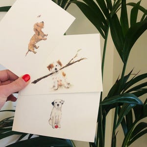 Pack of six dog illustration postcards