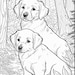 Puppy Coloring Book Pages for Boys & Girls - Printable Coloring Pages ...
