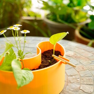 May include: An orange, wave-shaped planter filled with soil, featuring small white flowers with yellow centers and a green plant. Two small wooden tools rest in the soil. The planter sits on a stone surface.