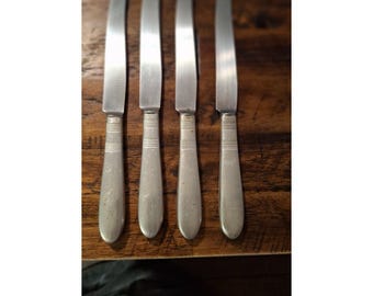 Lote de 4 cuchillos de mesa INSICO de acero inoxidable con mangos huecos