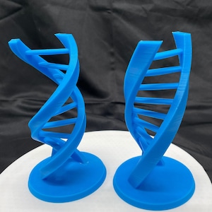 DNA Double Helix Decoration | Tabletop Desk Decor | Science & Biology Gifts