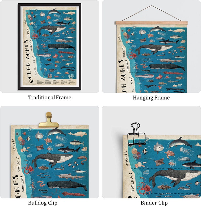 The Layers Ocean Zones Poster Educational Science Classroom - Etsy
