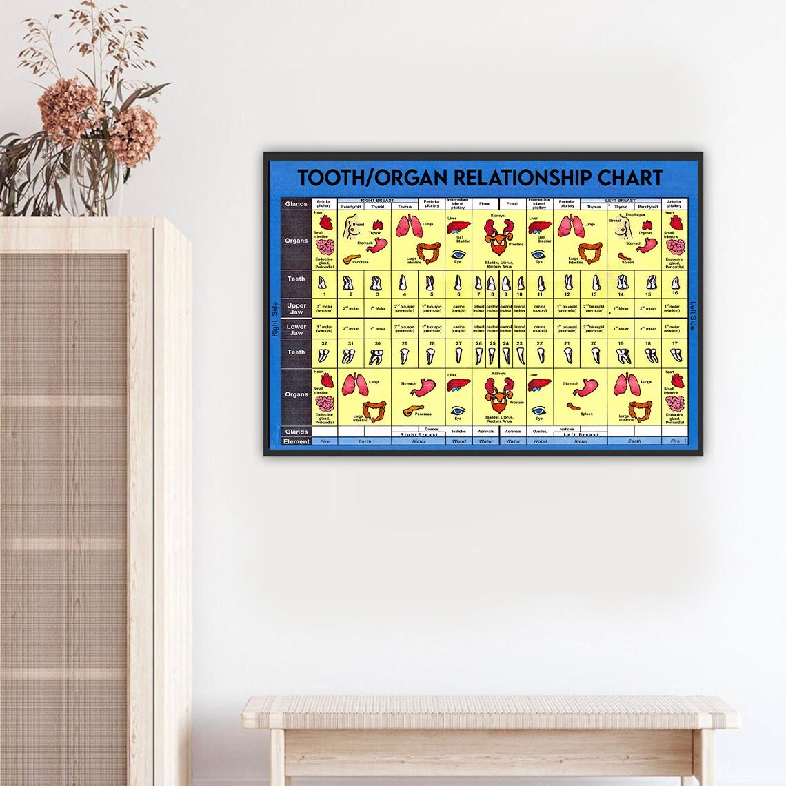 Medical Knowledge Posters Tooth/organ Relationship Chart Metal Signs ...