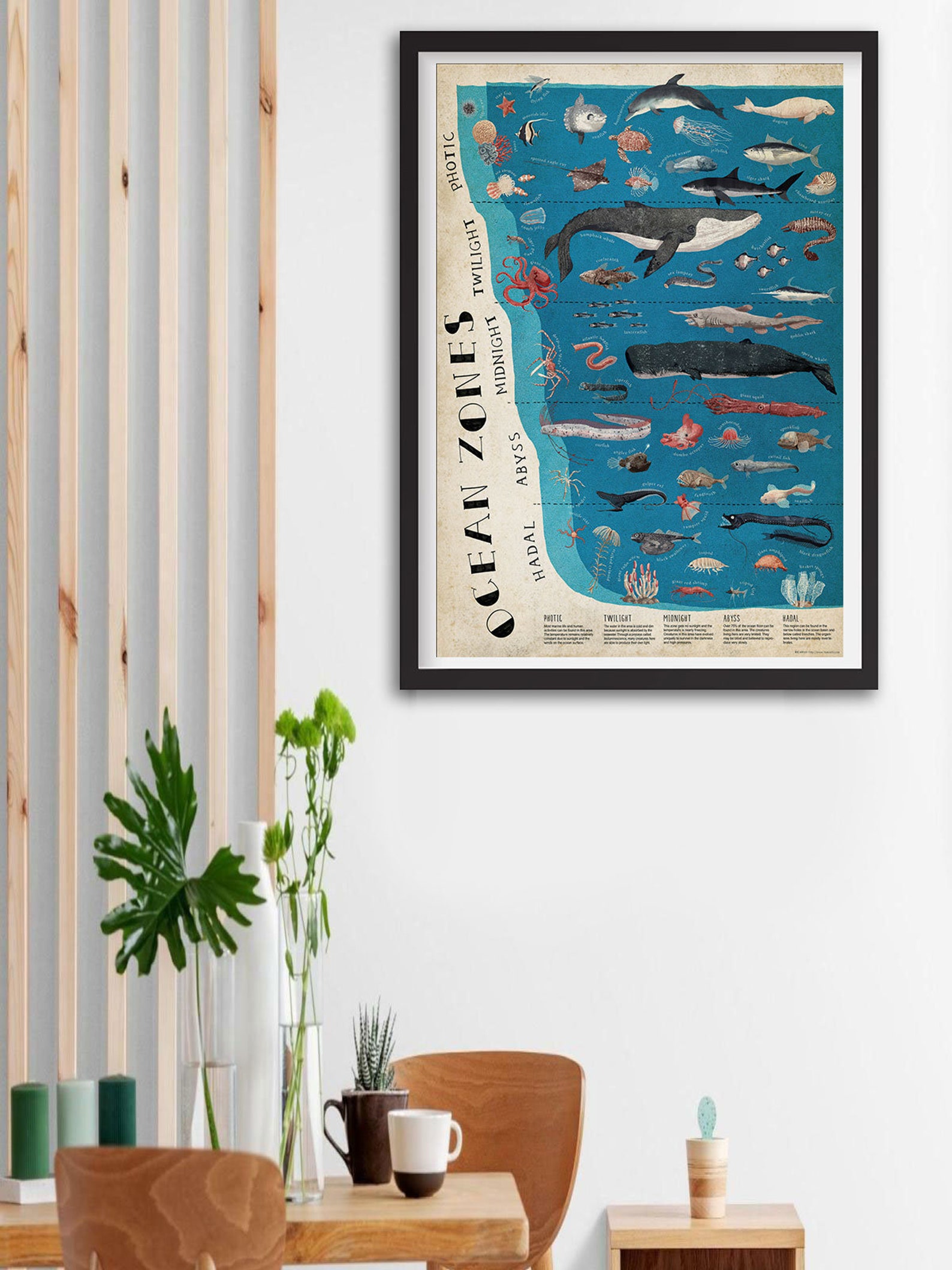 The Layers Ocean Zones Poster Educational Science Classroom - Etsy
