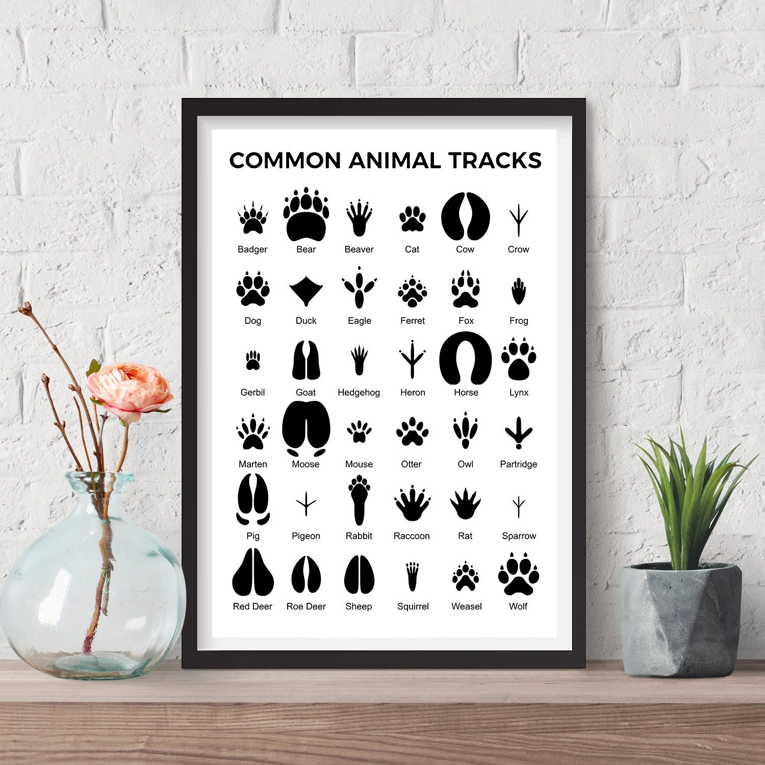 Animal Tracks Poster Printable
