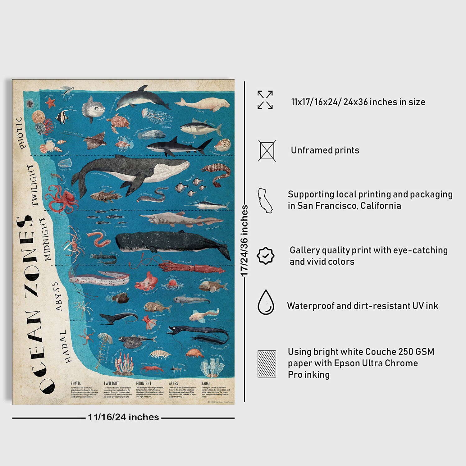 The Layers Ocean Zones Poster Educational Science Classroom - Etsy