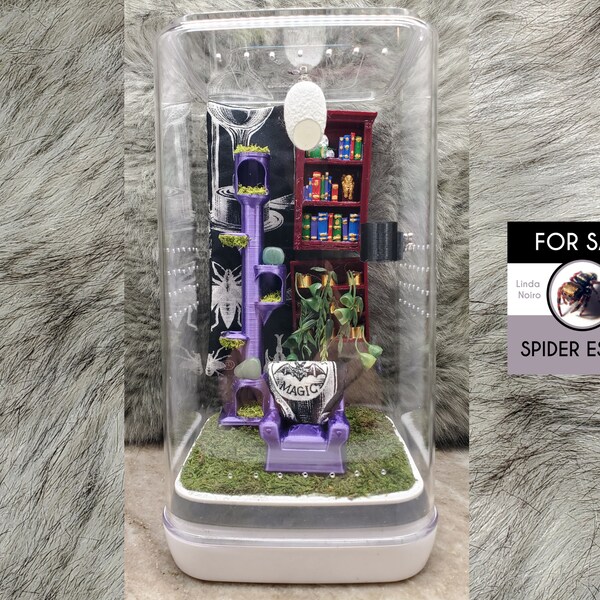 Purple Reading Nook Jumping Spider Enclosure