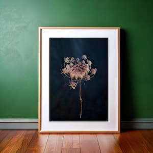 Moody Floral Printable Wall Art | Dark Botanical Downloadable Prints | Vintage Aesthetic | Dramatic Flower Art | Digital Wall Decor
