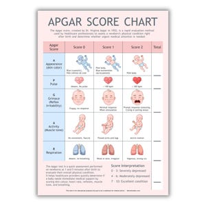 Tabella del punteggio Apgar stampabile – Strumento di valutazione della salute del neonato per ostetriche, educatori alla nascita, doula, infermieri, PDF, download digitale