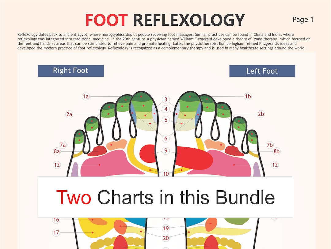Foot Reflexology Chart, Digital Download PDF, Reflexology Chart