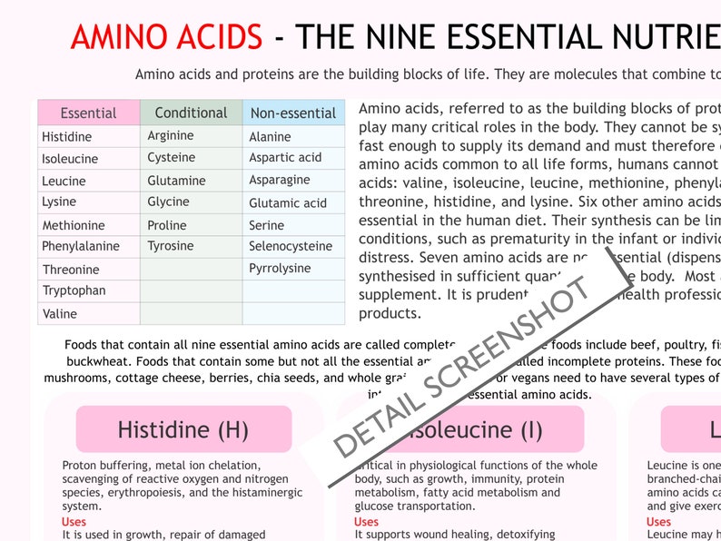 Essential Amino Acids List Class 12 At Cooper Mcguigan Blog