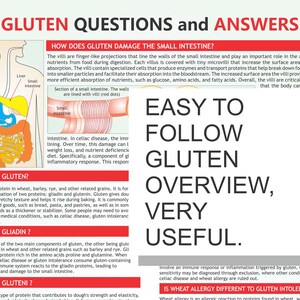 以下が含まれることがあります： 人間の消化器系の漫画のイラストが描かれたカラフルなインフォグラフィック。インフォグラフィックは、グルテンが小腸に与える影響を説明し、グルテン、グリアジン、グルテニンの定義を提供しています。テキストには、「グルテンに関する質問と回答」、「グルテンの概要を簡単に理解できる、非常に役立つ」と記載されています。