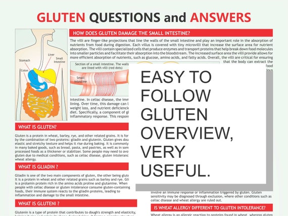 Régime sans gluten : guide du débutant détaillé et menus
