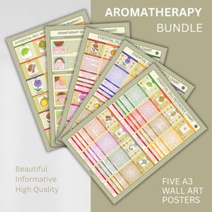 Paquete de cuadros de referencia de aceites esenciales para pared, 24 aceites decodificados, 5 cuadros A3, póster de pared de aromaterapia, técnicas de masaje, descarga digital