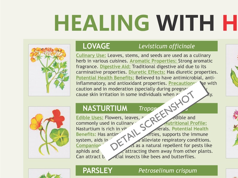 Healing Herbs Charts. Medicinal Herbs, Digital Download PDF, Herbs
