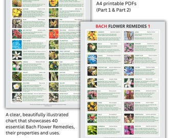 Tableau des fleurs de Bach • Guide des essences BFR • Rescue Remedy PDF • Téléchargement numérique, DEUX tableaux