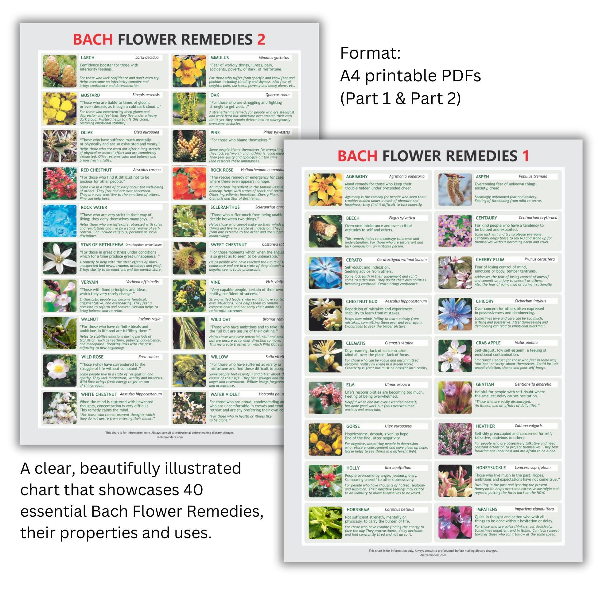 バッチフラワーニューセラピー1, 2 (ボディーマップ) バッチフラワーニューセラピー 1 (12の軌道)・2（ボディーマップ）2冊